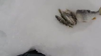 Бур со сменной головой на Горьковском водохранилище