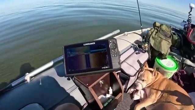 Пять дней на Рыбинском водохранилище