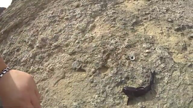 Октябрьская рыбалка в Седово