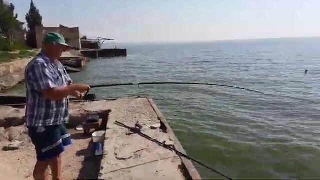 Обрыв оснастки и поимка пеленгаса в Седово