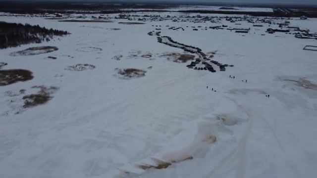 Первая зимняя навага в Унской губе
