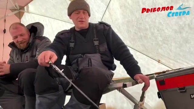 Унская губа Белого моря и традиционная навага Поморья