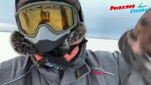 Унская губа Белого моря и традиционная навага Поморья