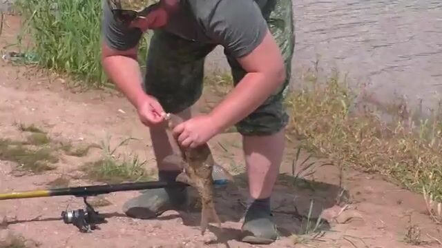 На Братском море племянники ловили лещей ночью