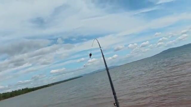 На Братском море племянники ловили лещей ночью