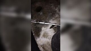 Навага на махалки в устье Унской губы