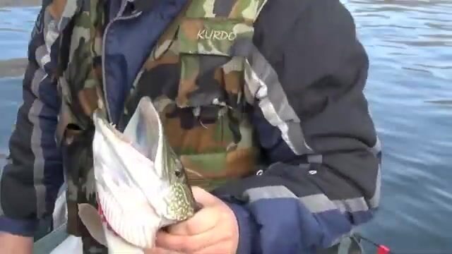 Щука поздней осенью в Бирюсинском заливе