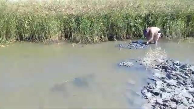 Седово на Кривой Косе и лиманная наживка для пеленгаса