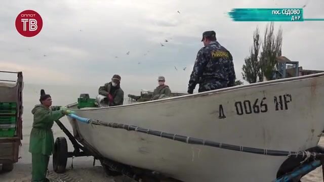 Утренний промысловый лов тюльки ставными неводами в Седово