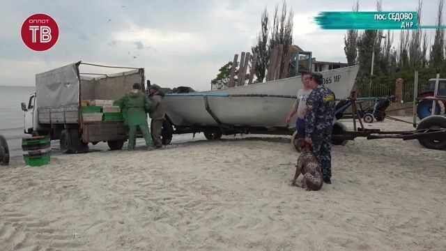 Утренний промысловый лов тюльки ставными неводами в Седово