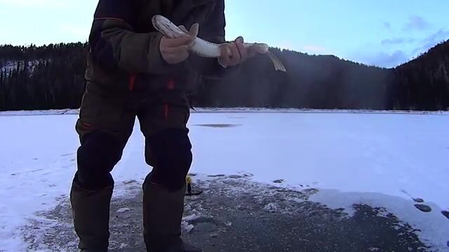 Первый лед Бирюсинского залива