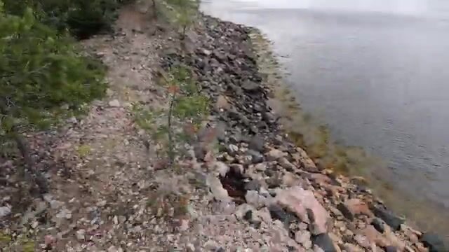 Треска на пескожила чуть не утащила удочку в губе Чупа