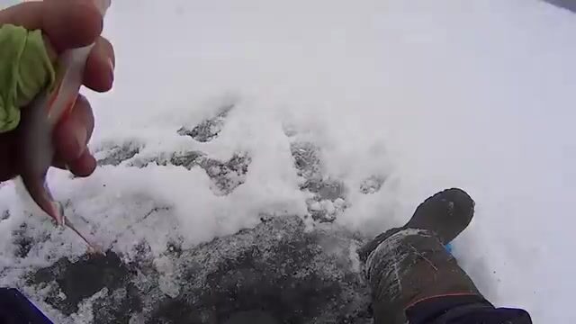 Ночная поимка леща Андреем в Бирюсинском заливе