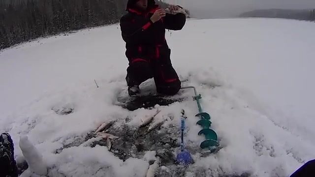 Ночная поимка леща Андреем в Бирюсинском заливе