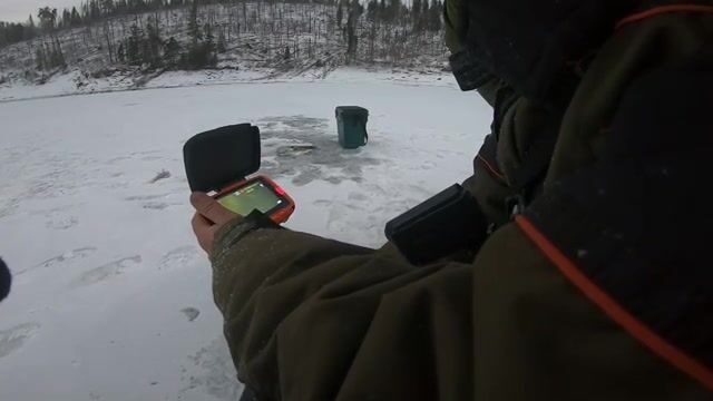 Поимка окуней и отпущенной щуки в Бирюсинском заливе