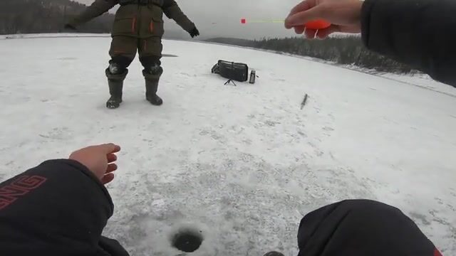 Поимка окуней и отпущенной щуки в Бирюсинском заливе