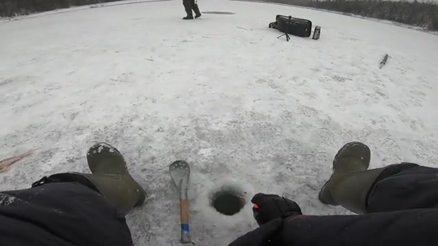 Поимка окуней и отпущенной щуки в Бирюсинском заливе