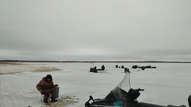 Навага на мяски в Унской губе с ночёвкой
