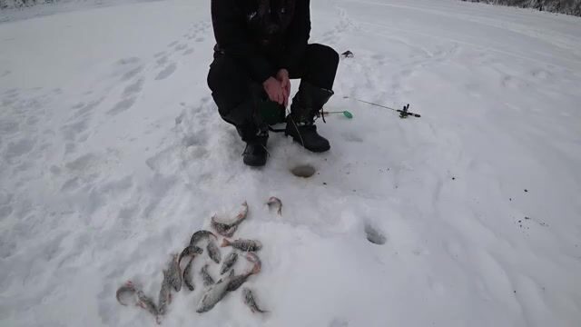 Зимний выезд на Бирюсинский залив