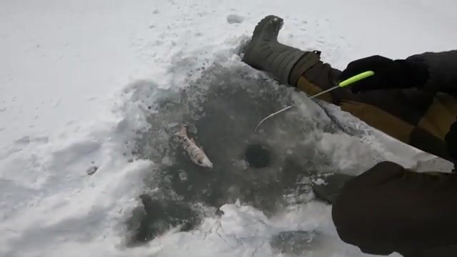 Пеший выход на первый лёд Бирюсинского залива