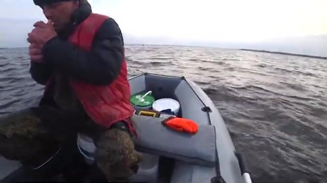 Осенняя навага на приливе в Унской губе