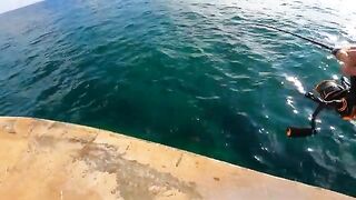 Поимка и выпуск небольшого серрана на червя на Мальте