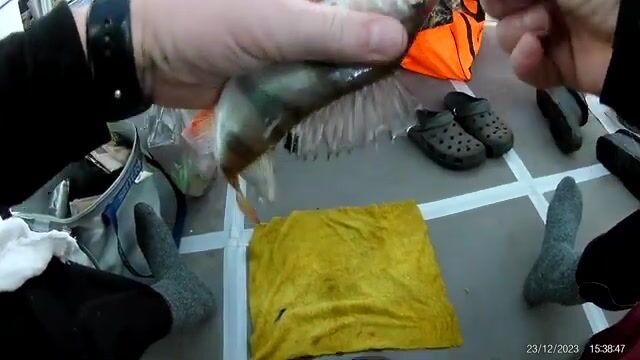Мормышка гвоздекубик с мотылем по окуню и сороге в Бирюсинском заливе