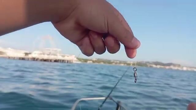 Ловля на ручную снасть с лодки у Дурреса