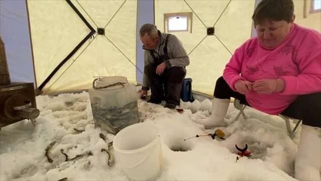 Семьдесят семь килограммов корюшки и наваги на Вежме