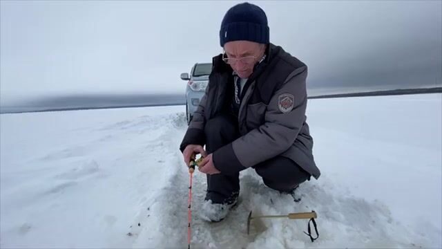 Семьдесят семь килограммов корюшки и наваги на Вежме