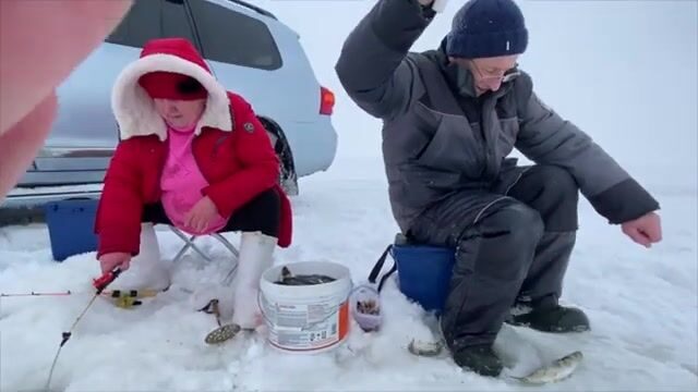 Семьдесят семь килограммов корюшки и наваги на Вежме
