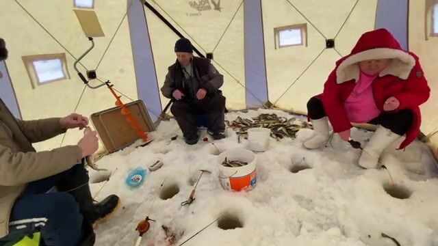 Семьдесят семь килограммов корюшки и наваги на Вежме