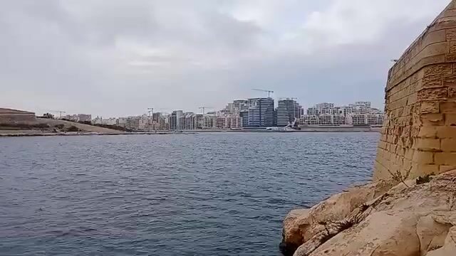 Подсчёт улова после рыбалки в Валлетте