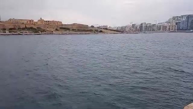 Подсчёт улова после рыбалки в Валлетте