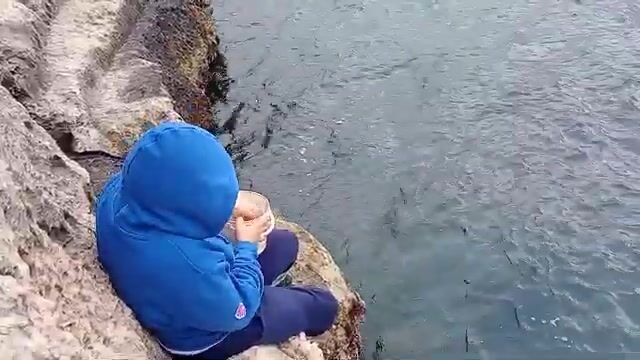 Подсчёт улова после рыбалки в Валлетте