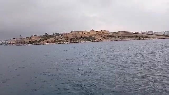 Подсчёт улова после рыбалки в Валлетте