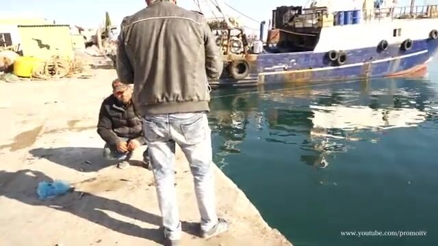 История прав на тунцовый промысел и производство рыбных консервов в Монастире