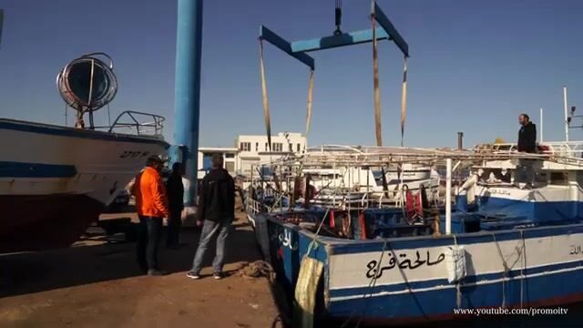 История прав на тунцовый промысел и производство рыбных консервов в Монастире