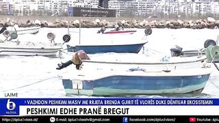 Наблюдение за расстановкой окружающей сети на мелководье Влёры с берега
