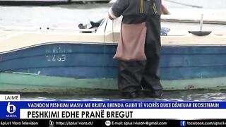 Наблюдение за расстановкой окружающей сети на мелководье Влёры с берега