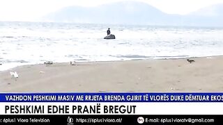 Наблюдение за расстановкой окружающей сети на мелководье Влёры с берега