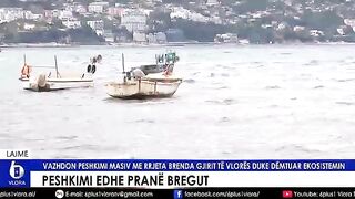 Наблюдение за расстановкой окружающей сети на мелководье Влёры с берега