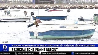 Наблюдение за расстановкой окружающей сети на мелководье Влёры с берега