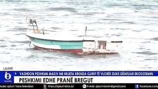 Наблюдение за расстановкой окружающей сети на мелководье Влёры с берега