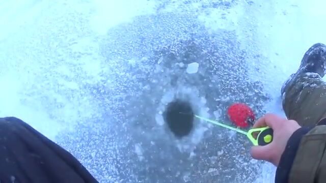 Тринадцать плотвиц на мормышку с красным опарышем в Бирюсинском заливе