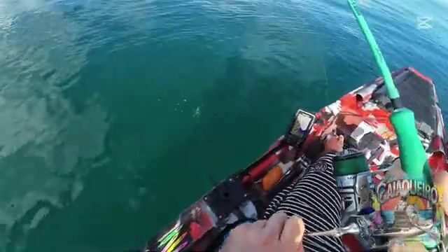 Поимка двух макрелей и каранкса на джиг с каяка в заливе Всех Святых у Салвадора
