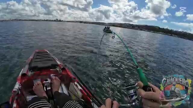 Поимка двух макрелей и каранкса на джиг с каяка в заливе Всех Святых у Салвадора