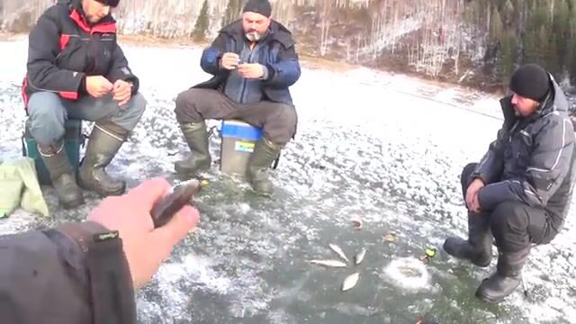 Вечерний клев сороги в Бирюсинском заливе