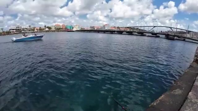 Дневная ловля у стенки в гавани Виллемстада