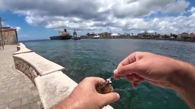 Дневная ловля у стенки в гавани Виллемстада
